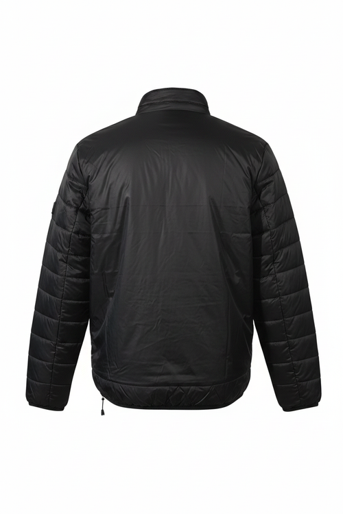 Back view